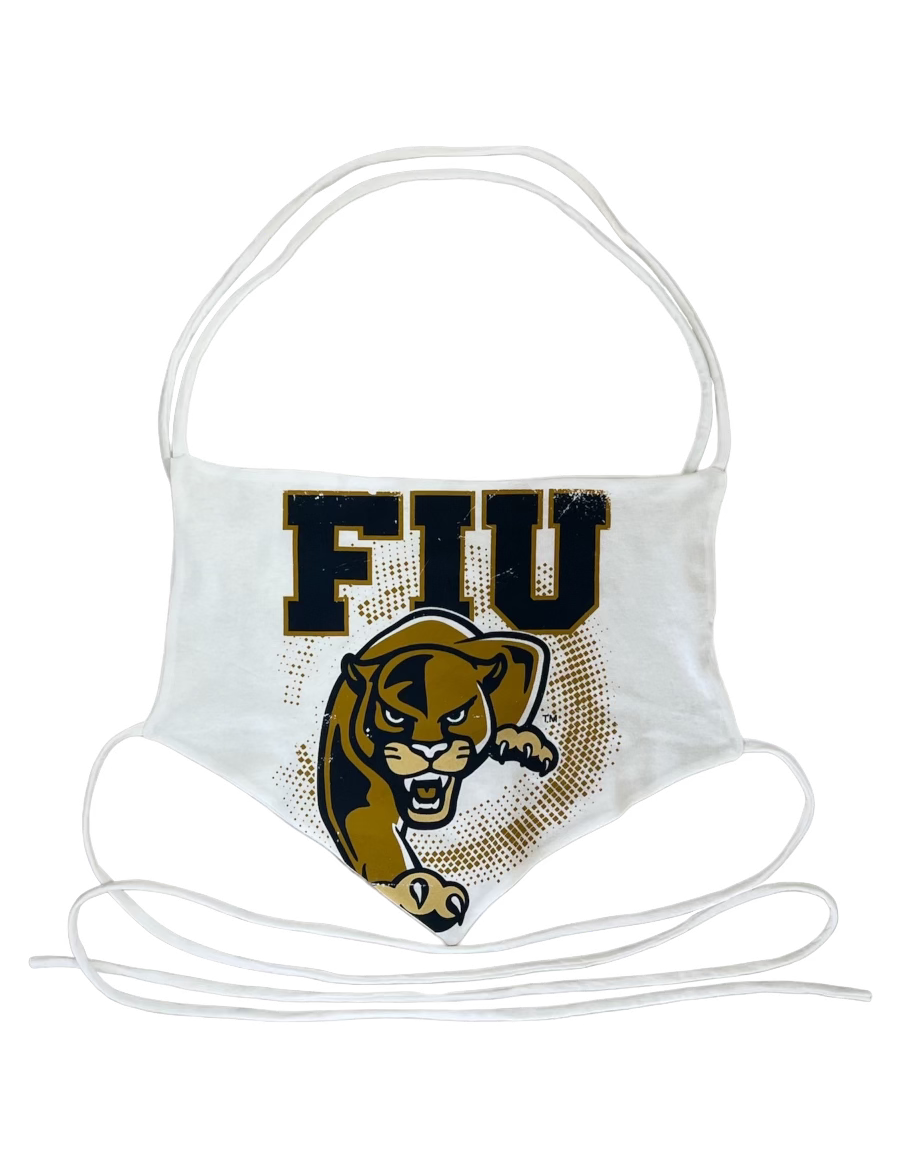 fiutriangletop.heic